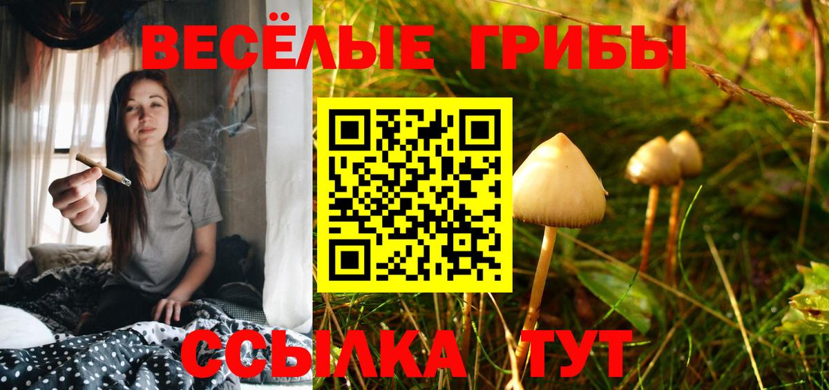 Галлюциногенные грибы прущие грибы Нижнеудинск
