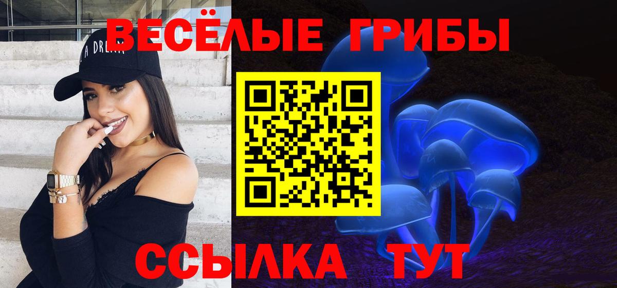Галлюциногенные грибы Magic Shrooms  Вход с VPN  Нижнеудинск  Галлюциногенные грибы GOLDEN TEACHER 